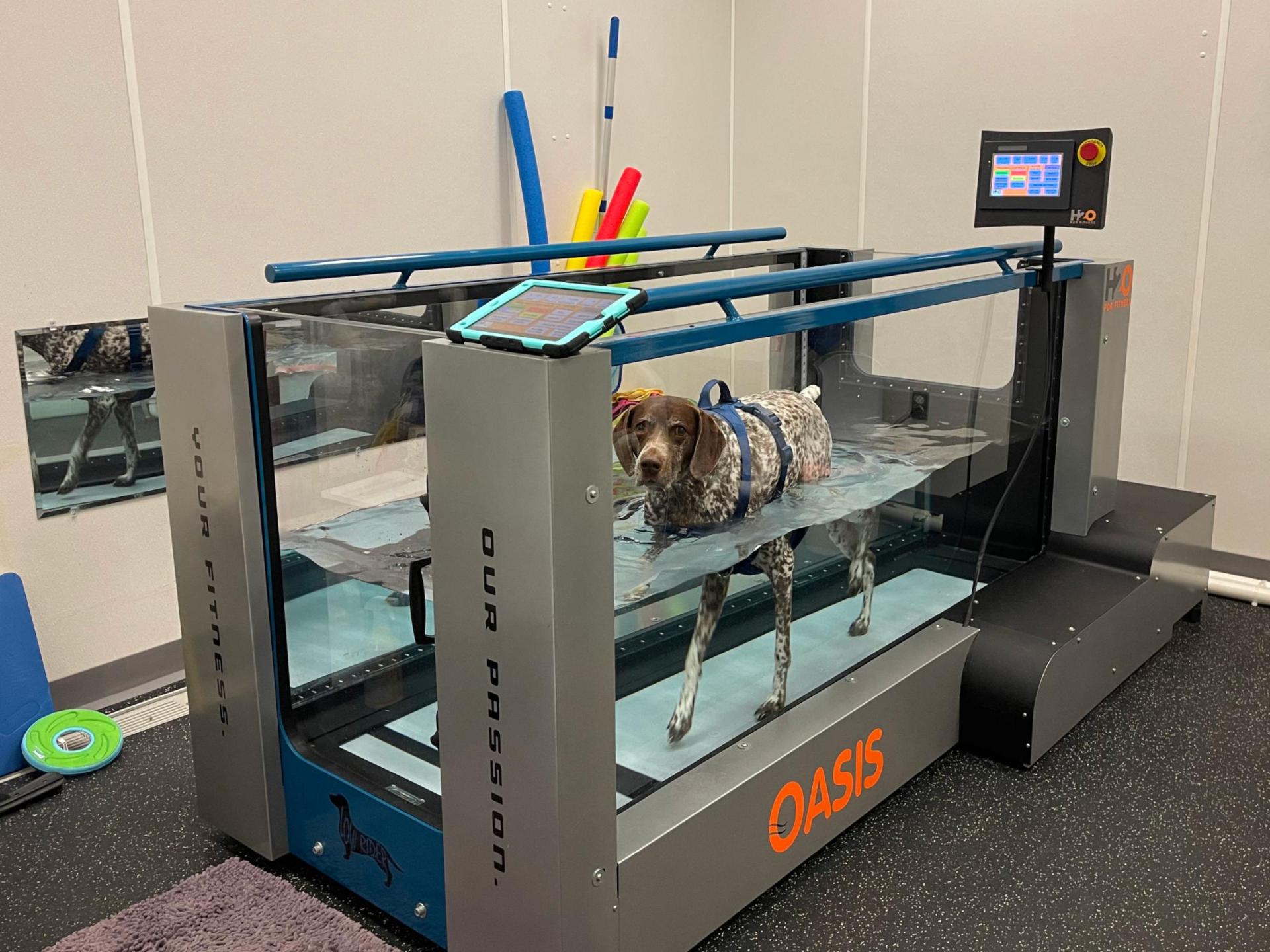 underwater treadmill